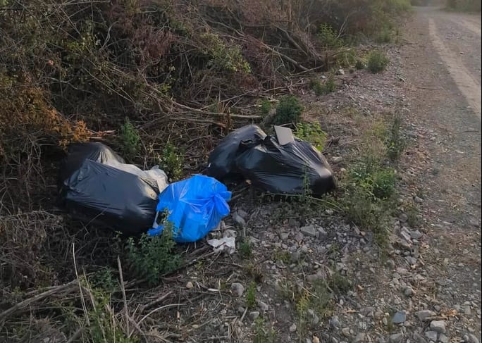 Polițiști locali și cetățeni în acțiune pentru identificarea unui abandon de deșeuri Polițiști locali și cetățeni în acțiune pentru identificarea unui abandon de deșeuri