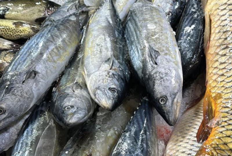Inginer piscicol din Botoșani: „Competiția cu peștele de import este tot mai mare” Inginer piscicol din Botoșani: „Competiția cu peștele de import este tot mai mare”