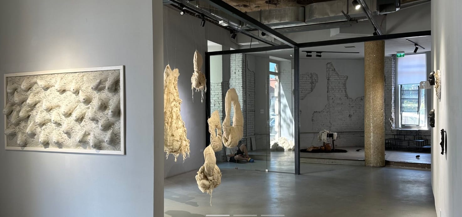 Cluj-Napoca: Expoziția «Almost Still» explorează feminitatea și memoria în artă