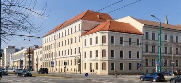 Elevi la școală în Timișoara Elevi la școală în Timișoara
