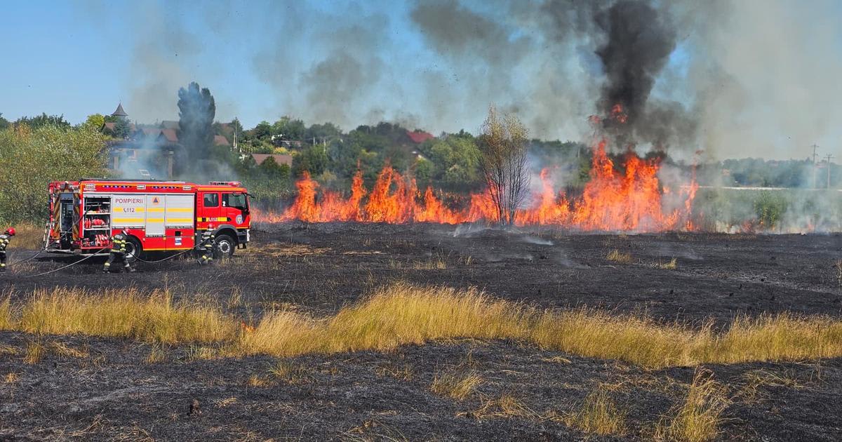 Incendiu de vegetație uscată în Holboca: Pompierii intervin cu două autospeciale