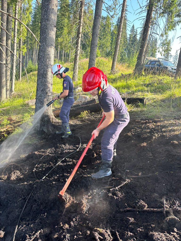 Incendiu de vegetație în fondul forestier din zona lacului Vidra, Voineasa