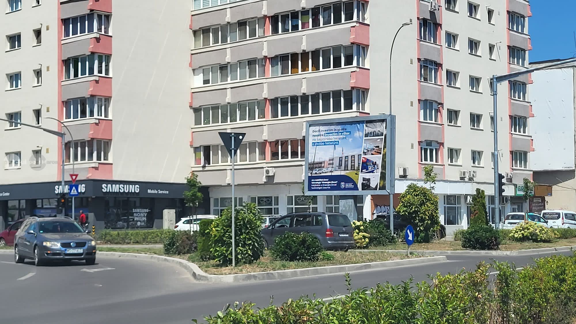 Tufă recent plantată pe Gheorghe Doja, obstrucționează vizibilitatea pentru șoferi Tufă recent plantată pe Gheorghe Doja, obstrucționează vizibilitatea pentru șoferi
