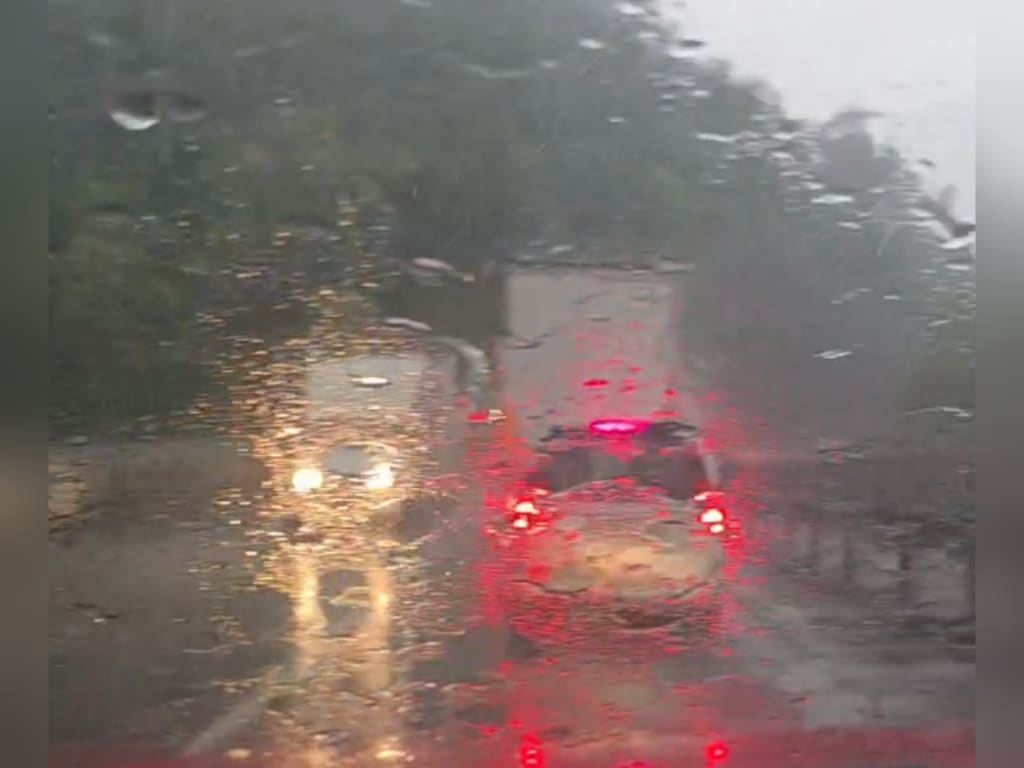 Pompieri în acțiune în județul Vâlcea, copaci căzuți și intervenții de urgență Pompieri în acțiune în județul Vâlcea, copaci căzuți și intervenții de urgență