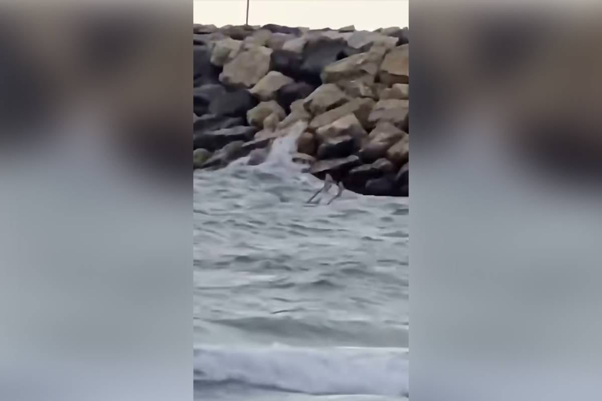 Dronă descoperită pe plaja din Costinești Dronă descoperită pe plaja din Costinești