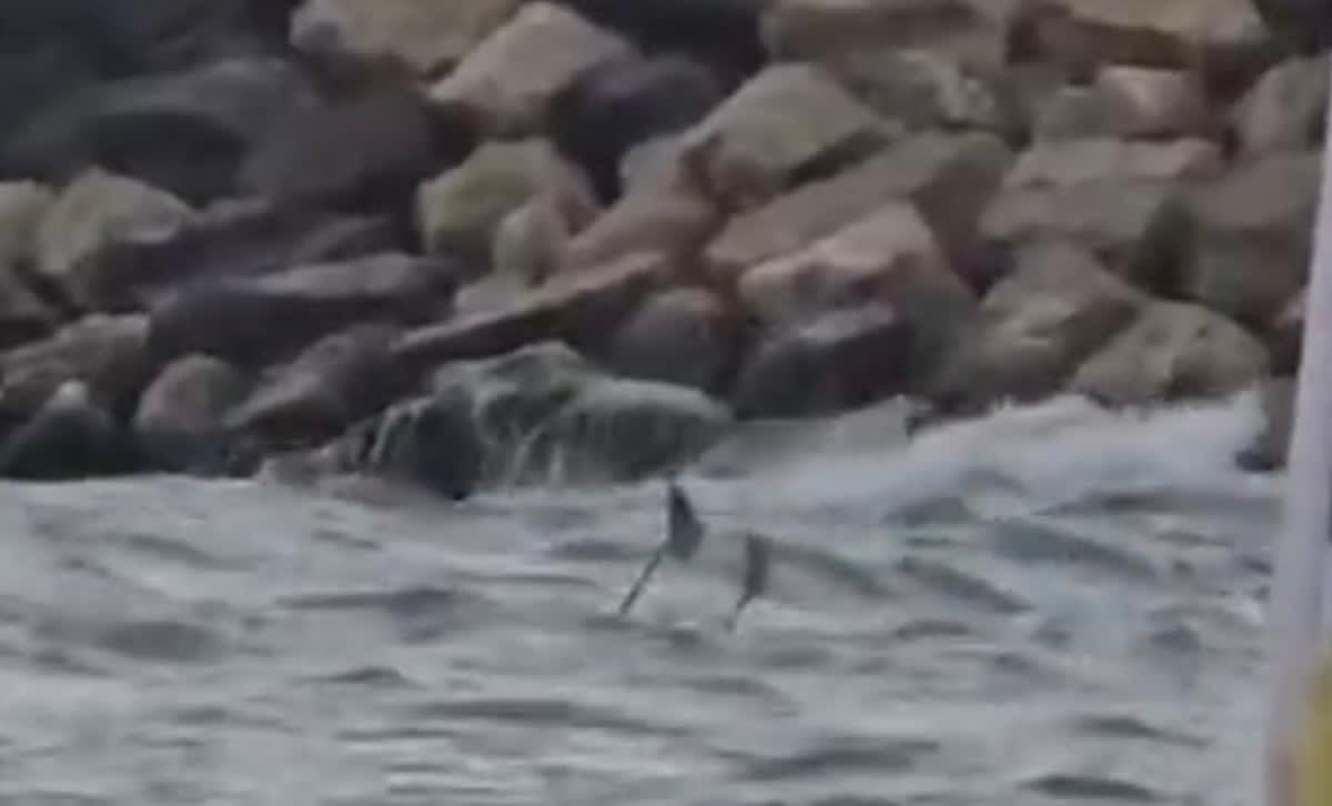 O posibilă dronă a fost observată în apă lângă plaja de la Costinești, în zona digului