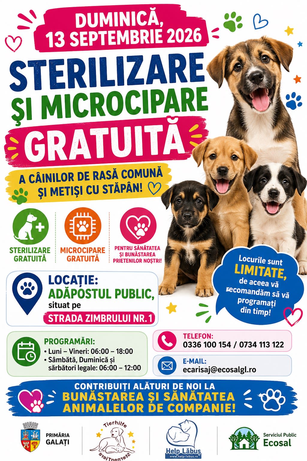 SP Ecosal Galați organizează o campanie gratuită de sterilizare și microcipare a câinilor cu stăpân