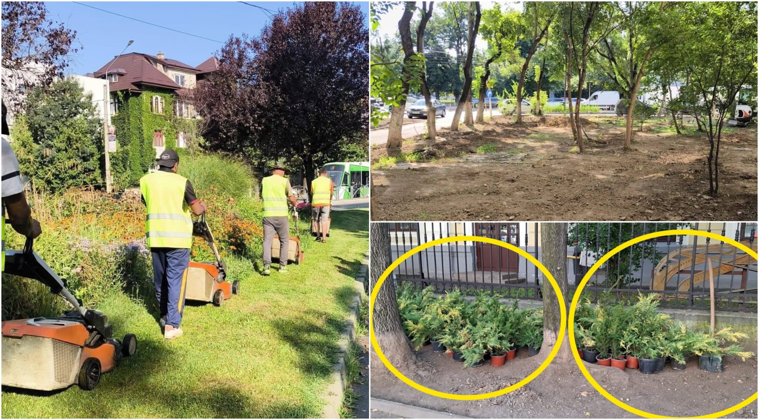 Mașini de tuns iarba în Sectorul 1 pe un gazon uscat, pământ lipsit de vegetație Mașini de tuns iarba în Sectorul 1 pe un gazon uscat, pământ lipsit de vegetație
