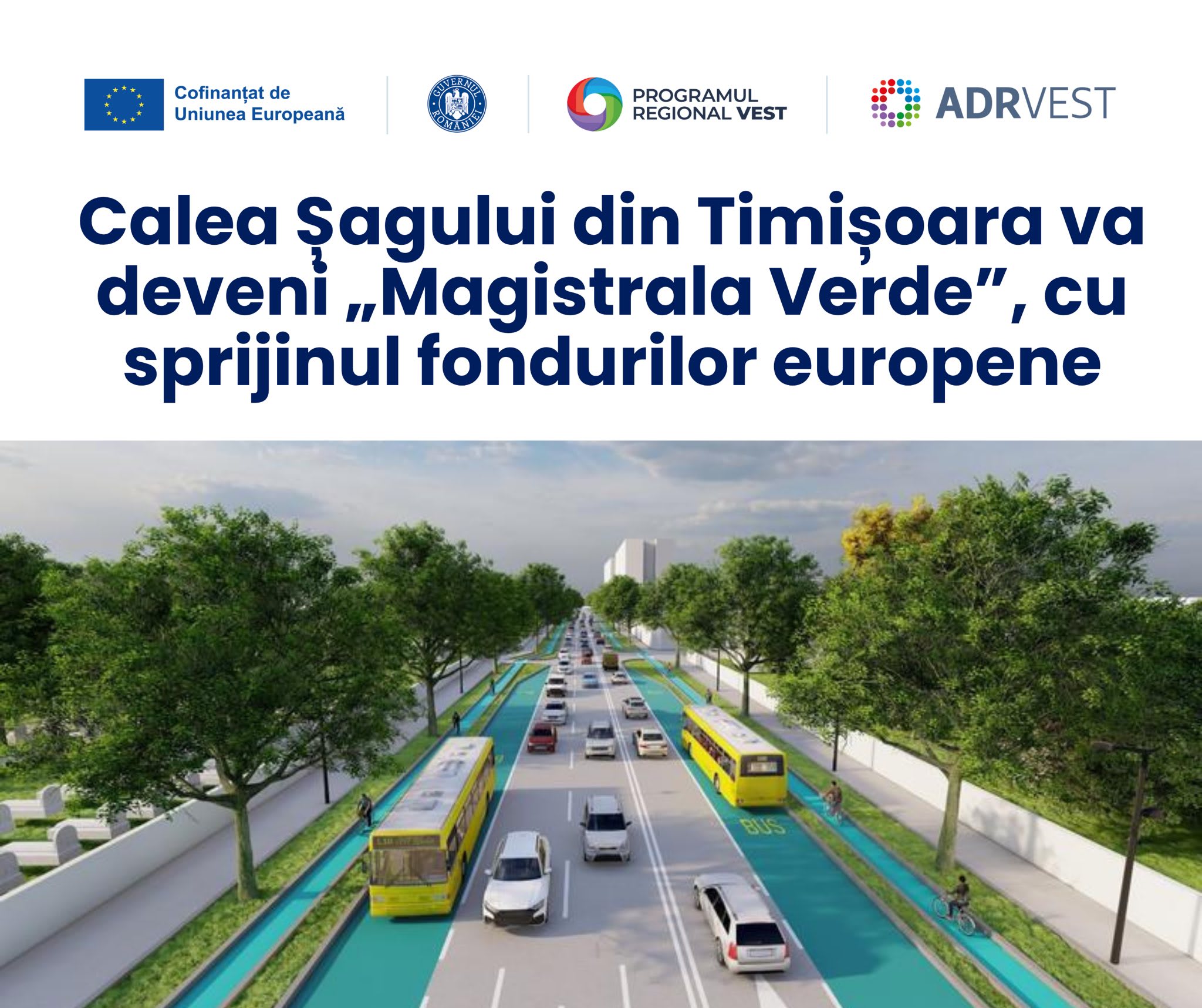 Firme participante la licitația pentru Magistrala Verde din Timișoara Firme participante la licitația pentru Magistrala Verde din Timișoara