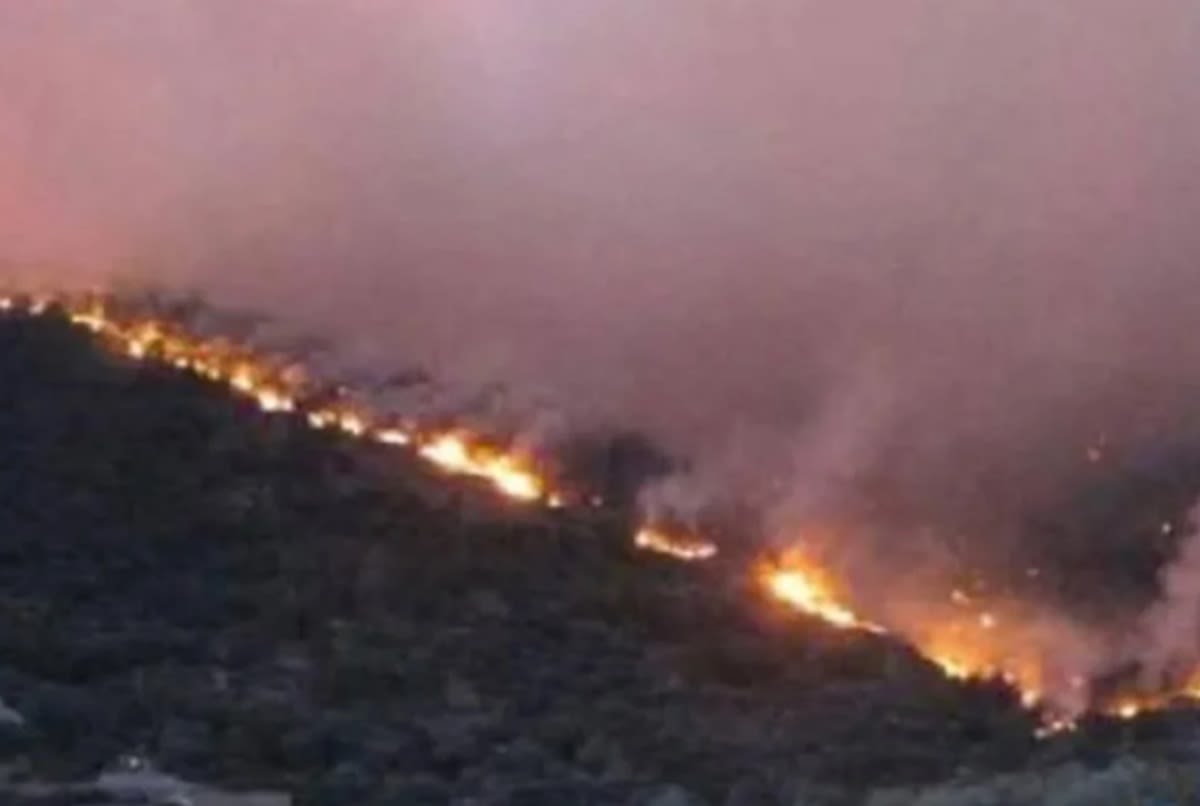 Un incendiu puternic în Halkidiki: autoritățile au dispus evacuări din cauza flăcărilor