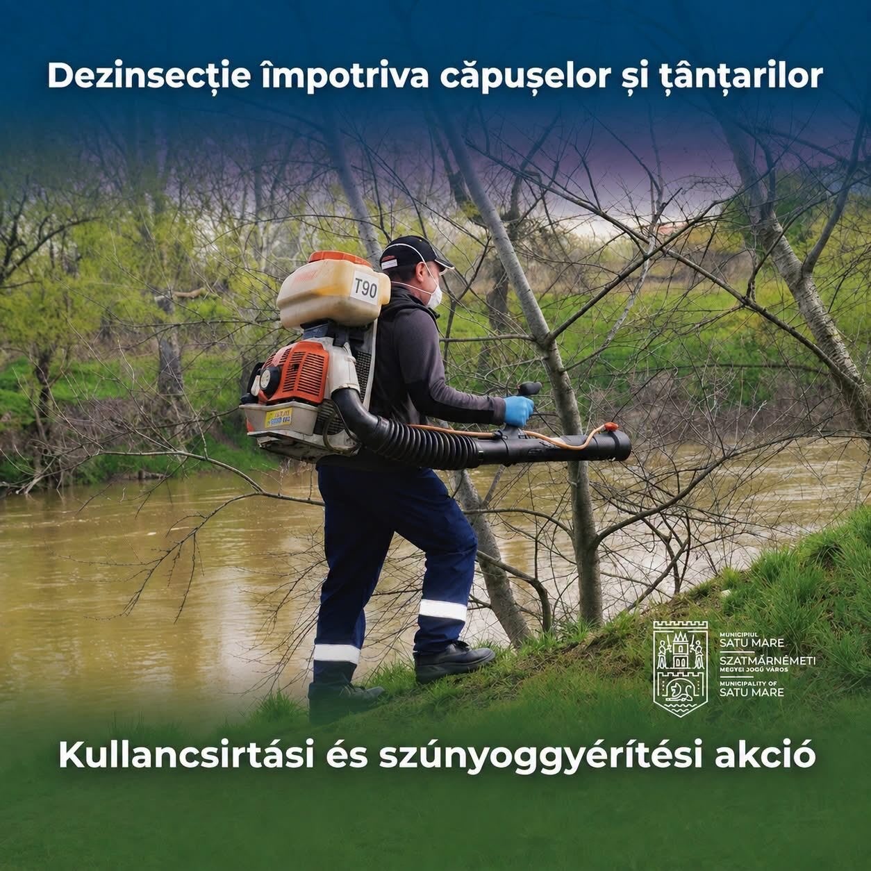 Echipe de dezinsecție în acțiune în parcuri din Satu Mare Echipe de dezinsecție în acțiune în parcuri din Satu Mare