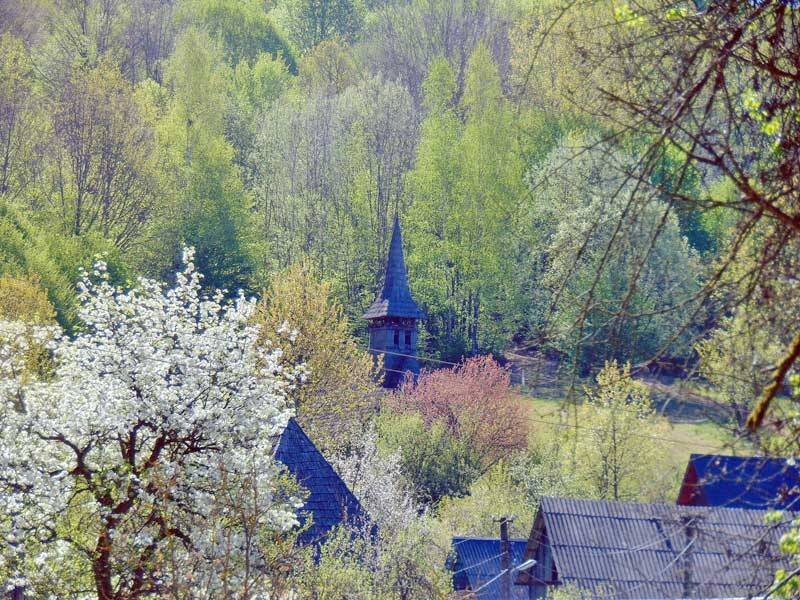 Sat de munte în Maramureș cu biserici de lemn și drum forestier Sat de munte în Maramureș cu biserici de lemn și drum forestier