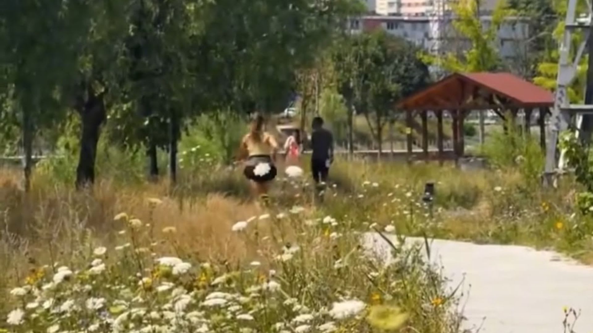 Malurile Someșului din Cluj cu iarbă înaltă și natură necontrolată Malurile Someșului din Cluj cu iarbă înaltă și natură necontrolată
