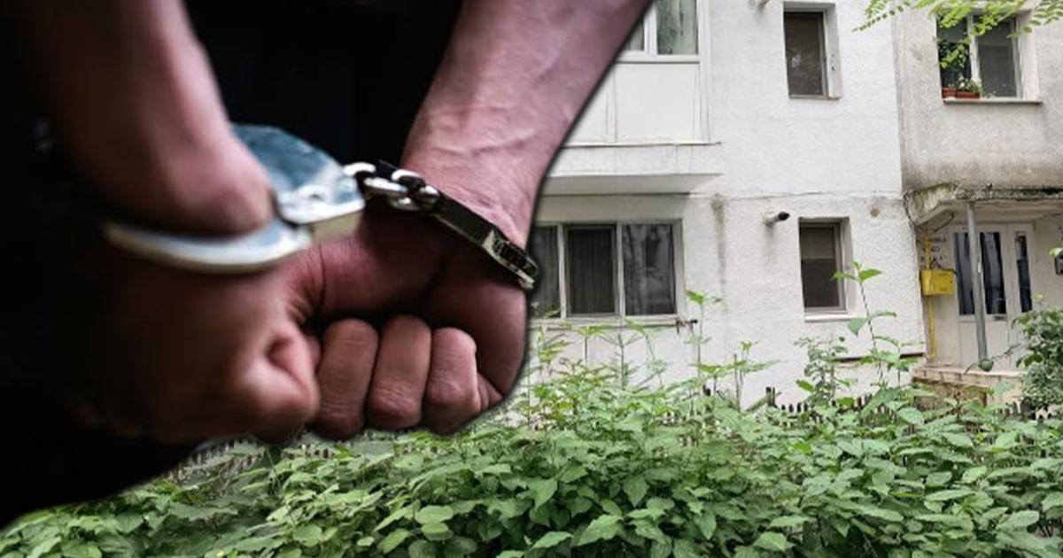 Polițiști în acțiune în cartierul Alexandru cel Bun Polițiști în acțiune în cartierul Alexandru cel Bun
