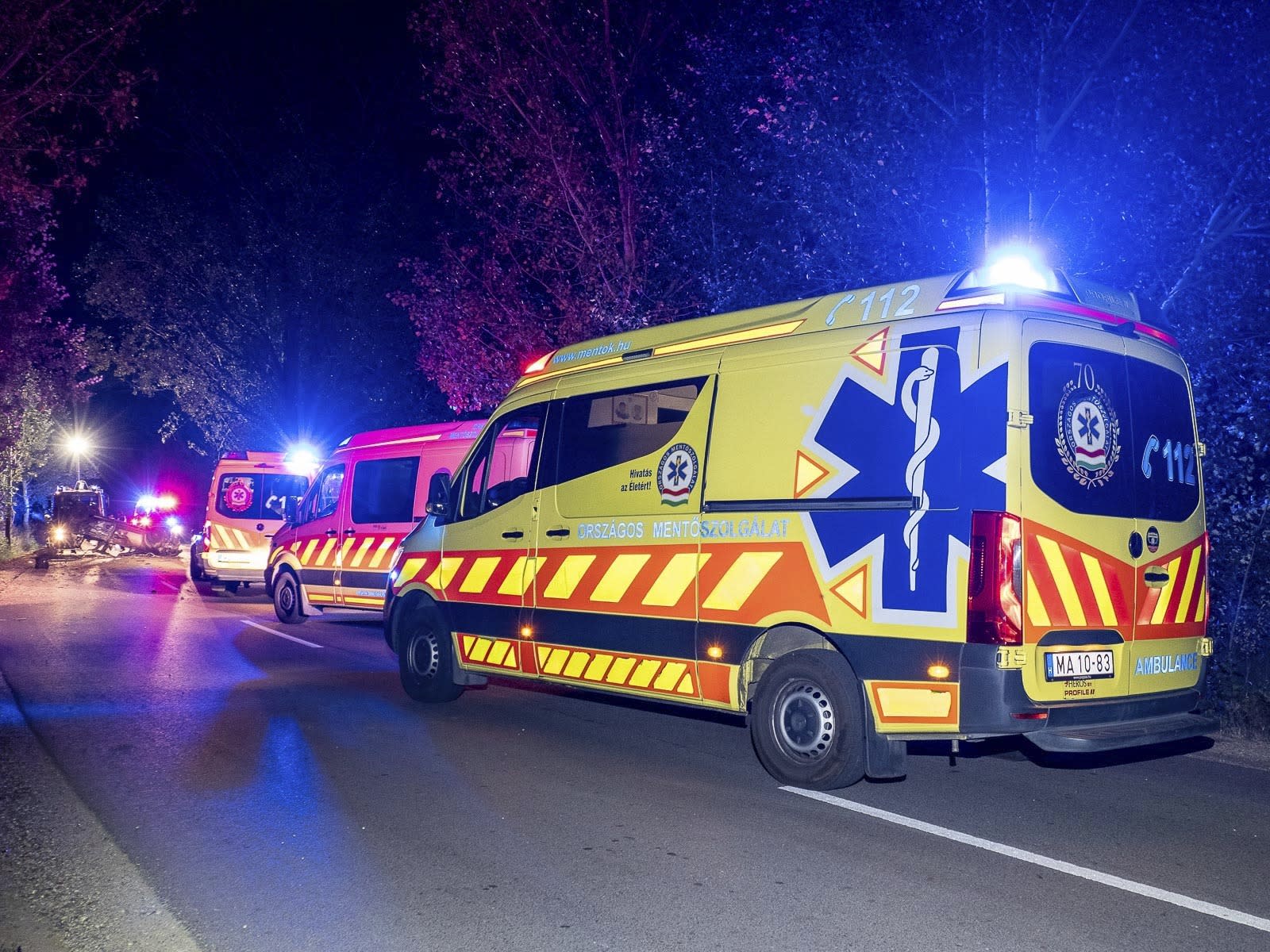 Accident grav de autocar în Ungaria: 12 morți și 10 răniți, duminică dimineață