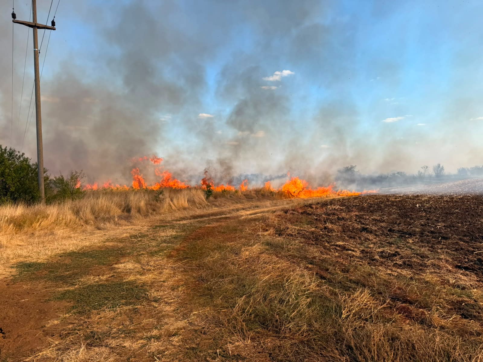 Pompieri doljeni stingând incendii de vegetație și cruci din lemn Pompieri doljeni stingând incendii de vegetație și cruci din lemn