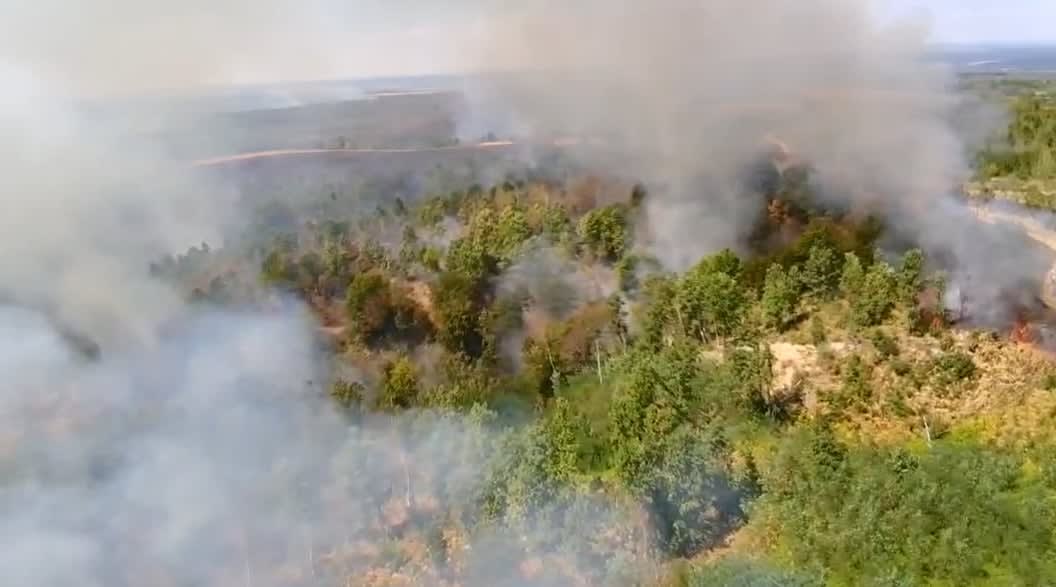 Pompieri în acțiune stingând incendii de vegetație în Timiș Pompieri în acțiune stingând incendii de vegetație în Timiș