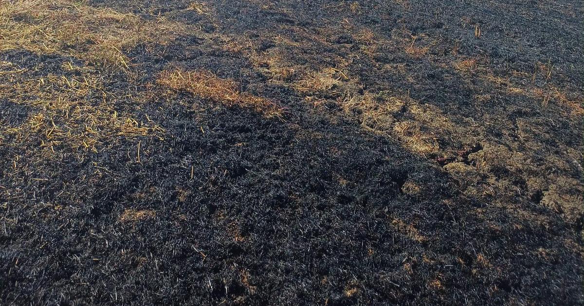 Incendiu vegetație uscată în comuna Lungani Incendiu vegetație uscată în comuna Lungani