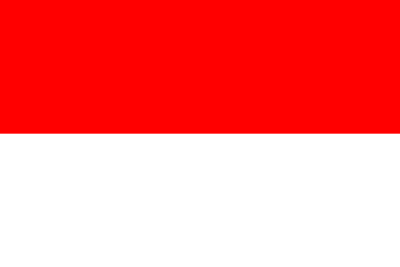 Indonezia: Aproximativ 13.000 de persoane au fost strămutate după cutremurul de 7.7 magnitudine