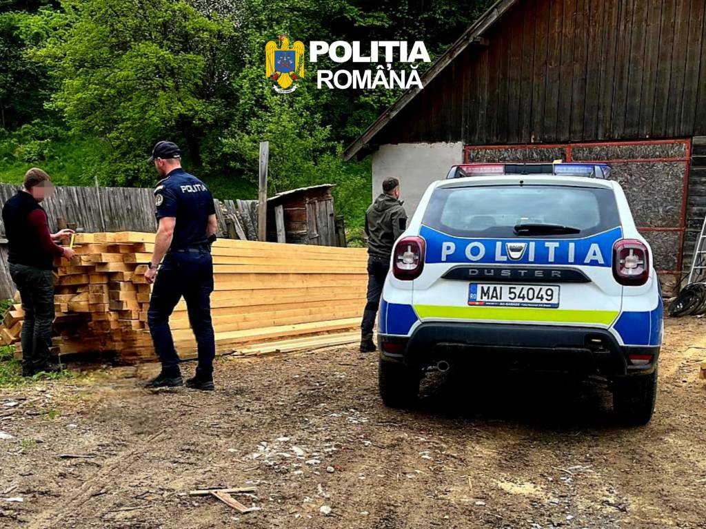 Polițiști verificând depozite de lemn ilegal în România Polițiști verificând depozite de lemn ilegal în România