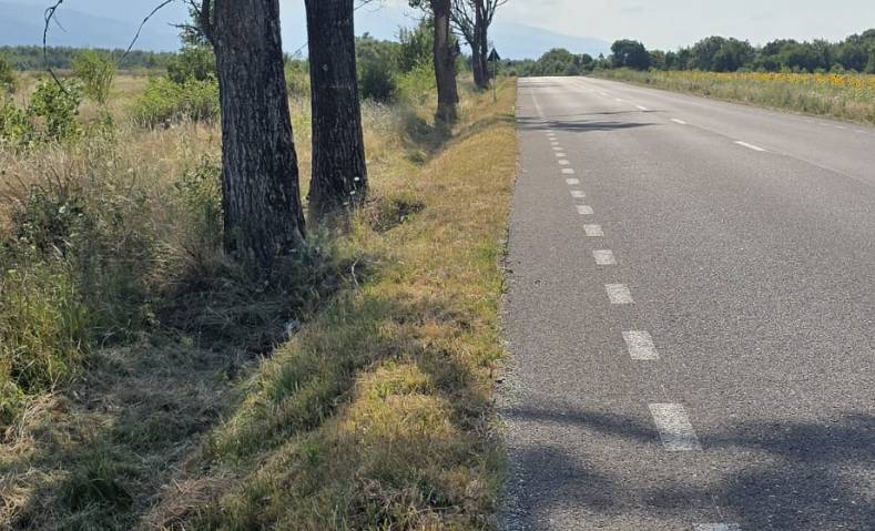 Autoritățile din Brașov au început lucrări de întreținere a drumurilor județene