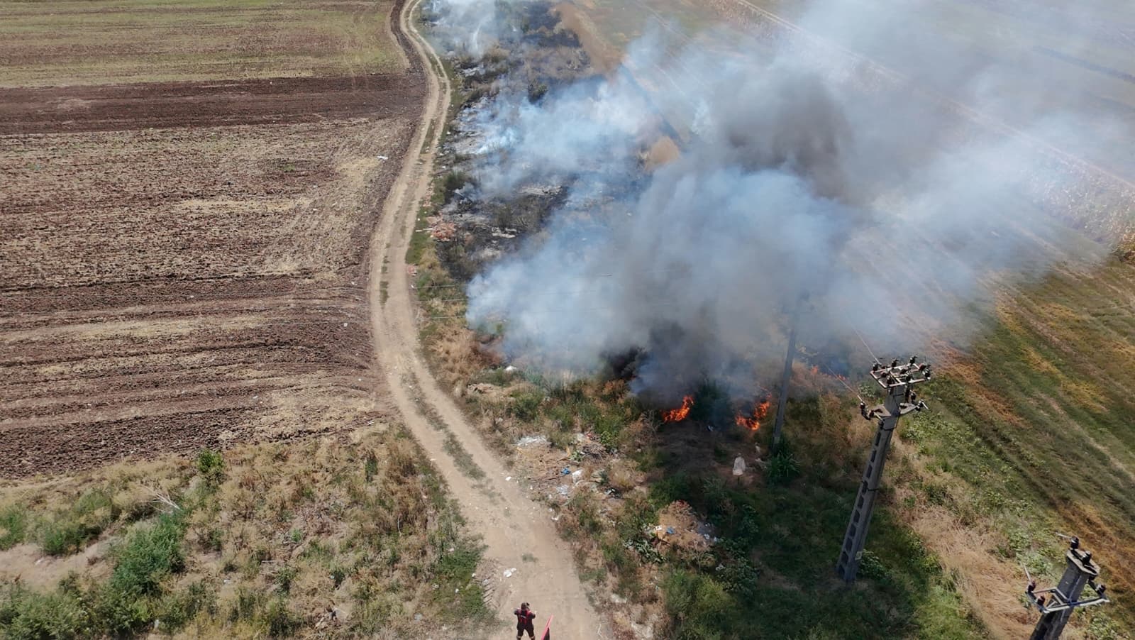 Pompieri din Teleorman stingând un incendiu de vegetație uscată Pompieri din Teleorman stingând un incendiu de vegetație uscată