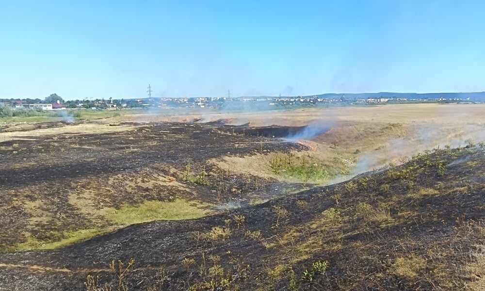 Intervenție pompieri incendiu vegetație Intervenție pompieri incendiu vegetație