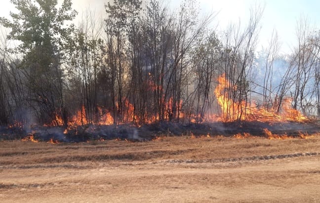 Incendii în Timiș: trei focare au izbucnit luni, 17 august, care a afectat terenuri și locuințe