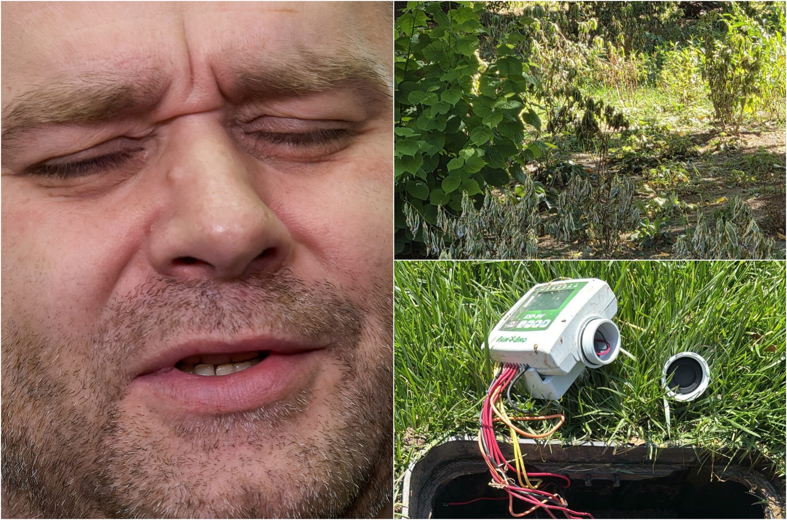 Primar Ciprian Ciucu inspectând spațiul verde de la Sala Palatului Primar Ciprian Ciucu inspectând spațiul verde de la Sala Palatului