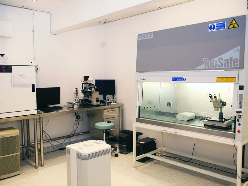 Interior modernizat al centrului de fertilizare in vitro din Cluj Interior modernizat al centrului de fertilizare in vitro din Cluj