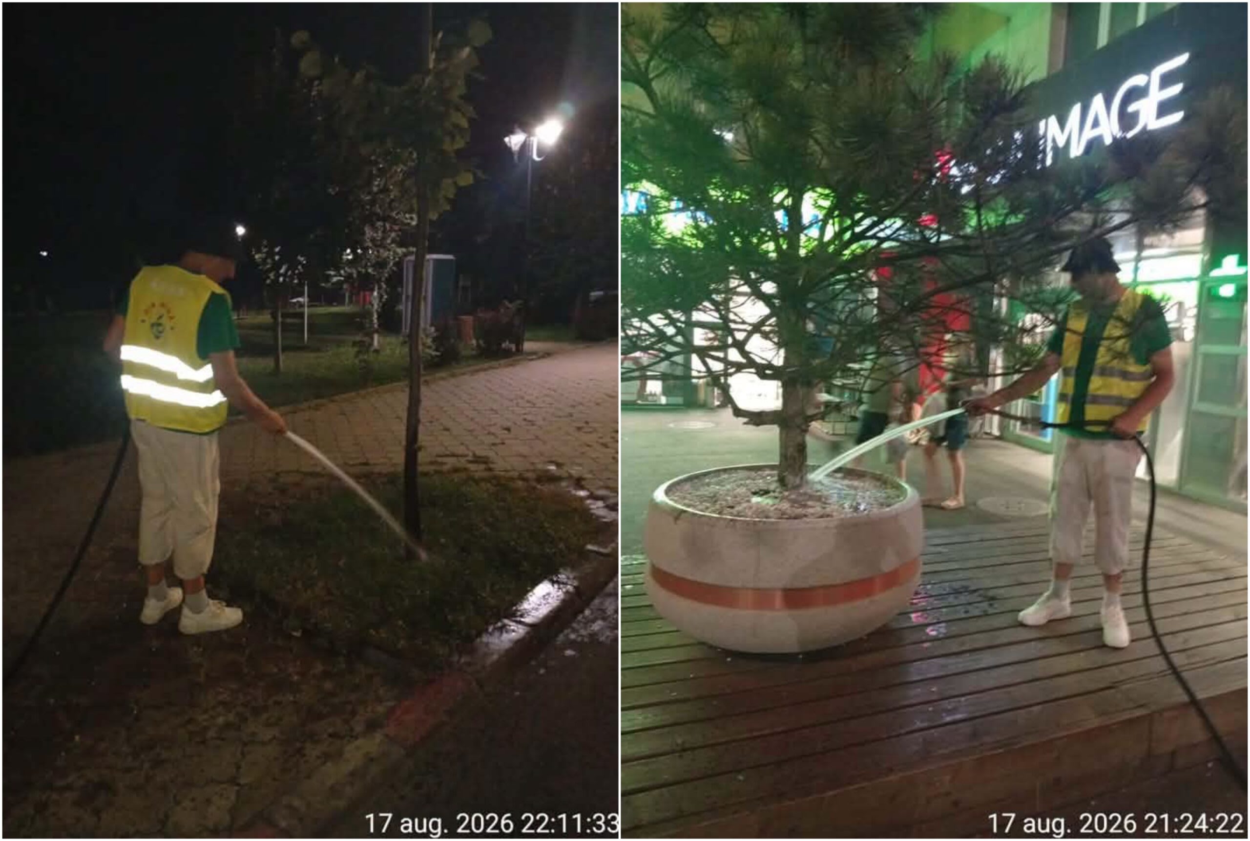 Un bucureștean cere apă pentru copaci uscați în Ferentari, PS5 răspunde cu poze nocturne