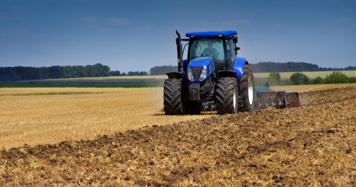 Fermierii germani cer sprijin după recolte slabe cauzate de secetă și caniculă