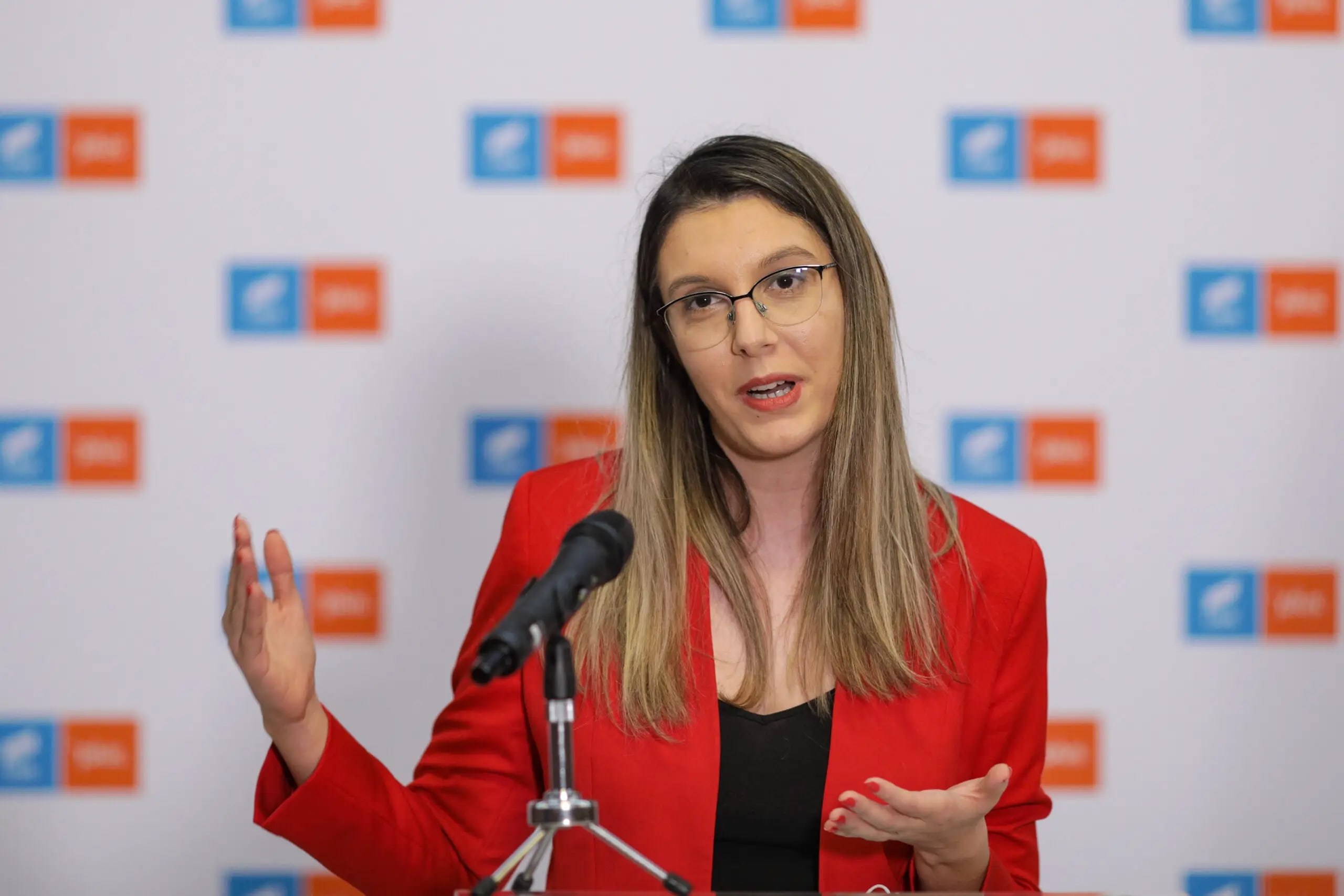 Diana Buzoianu a anunțat un program de 400 milioane de lei pentru baterii: până la 15.000 de lei pentru prosumatori