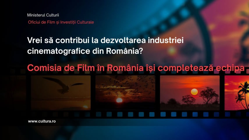 Candidaturi pentru Comisia de Film în România, oameni depunând CV-uri