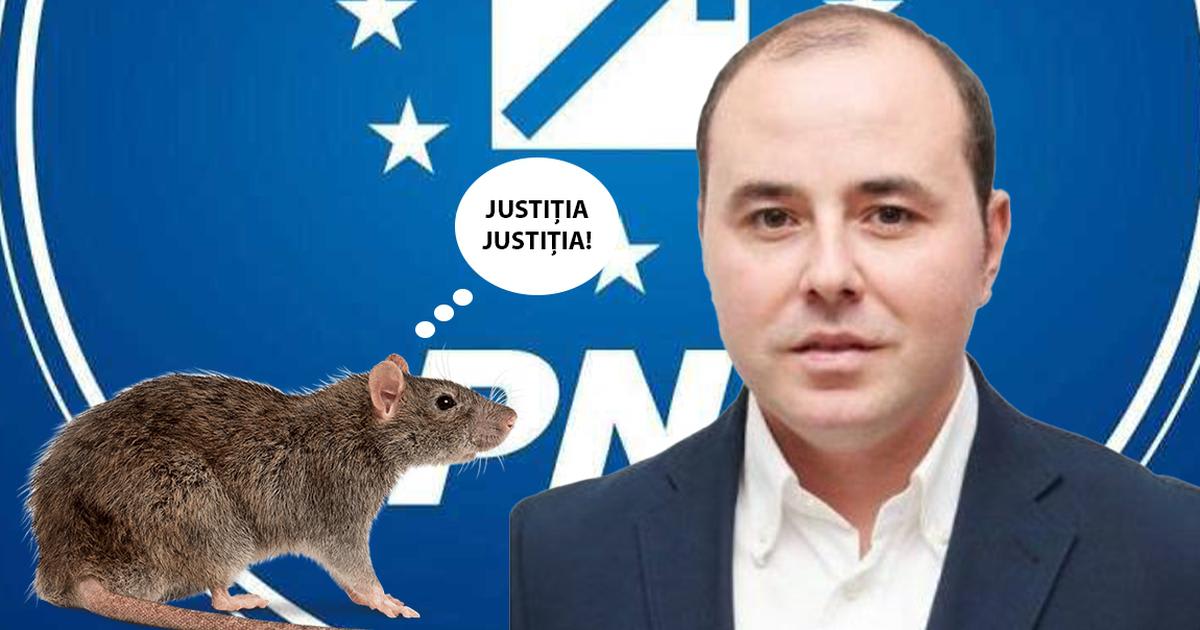 Alexandru Muraru la o conferință de presă