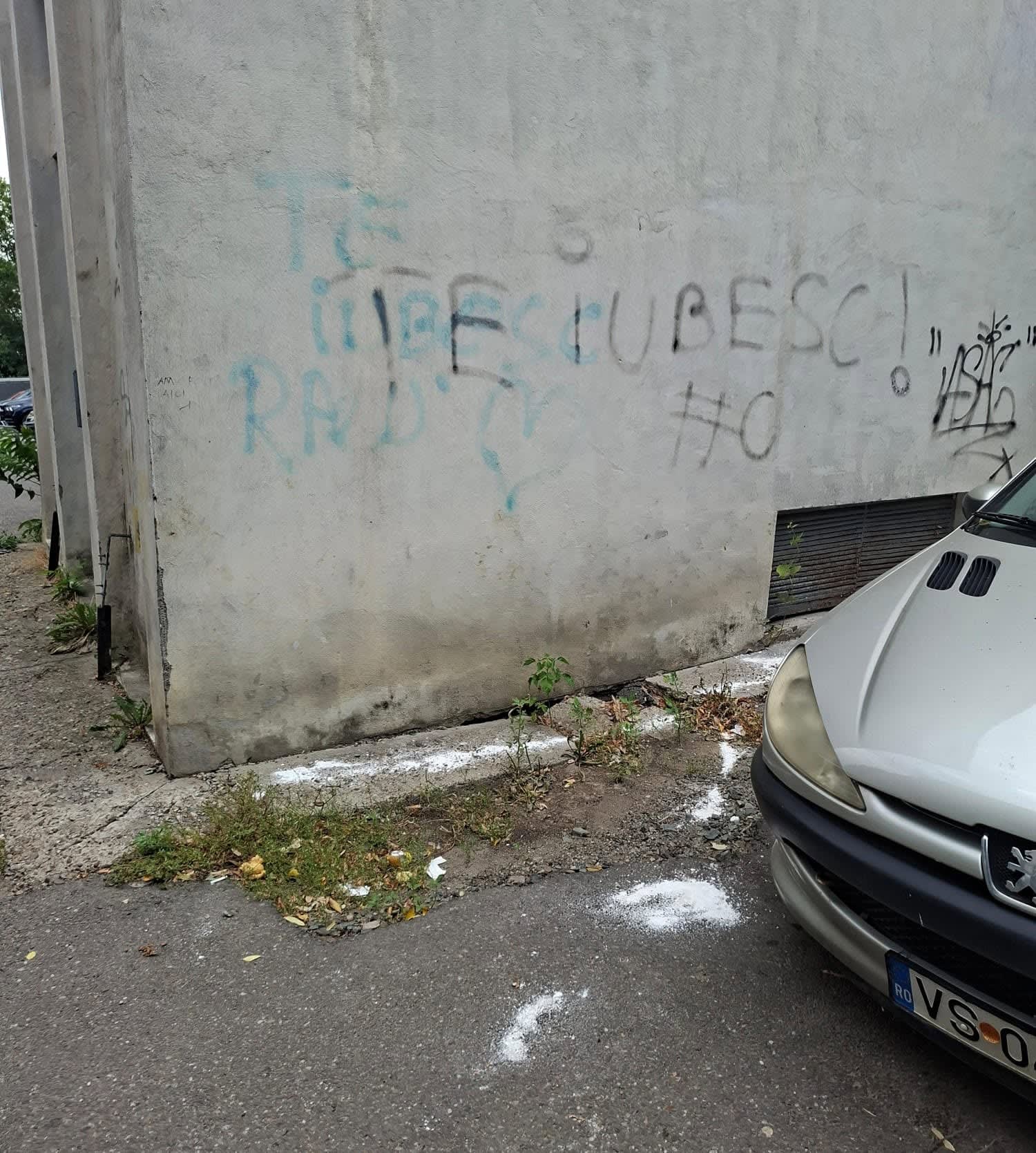 Pisici fără stăpân în zona unui bloc din Vaslui, urme de praf alb pe alee Pisici fără stăpân în zona unui bloc din Vaslui, urme de praf alb pe alee