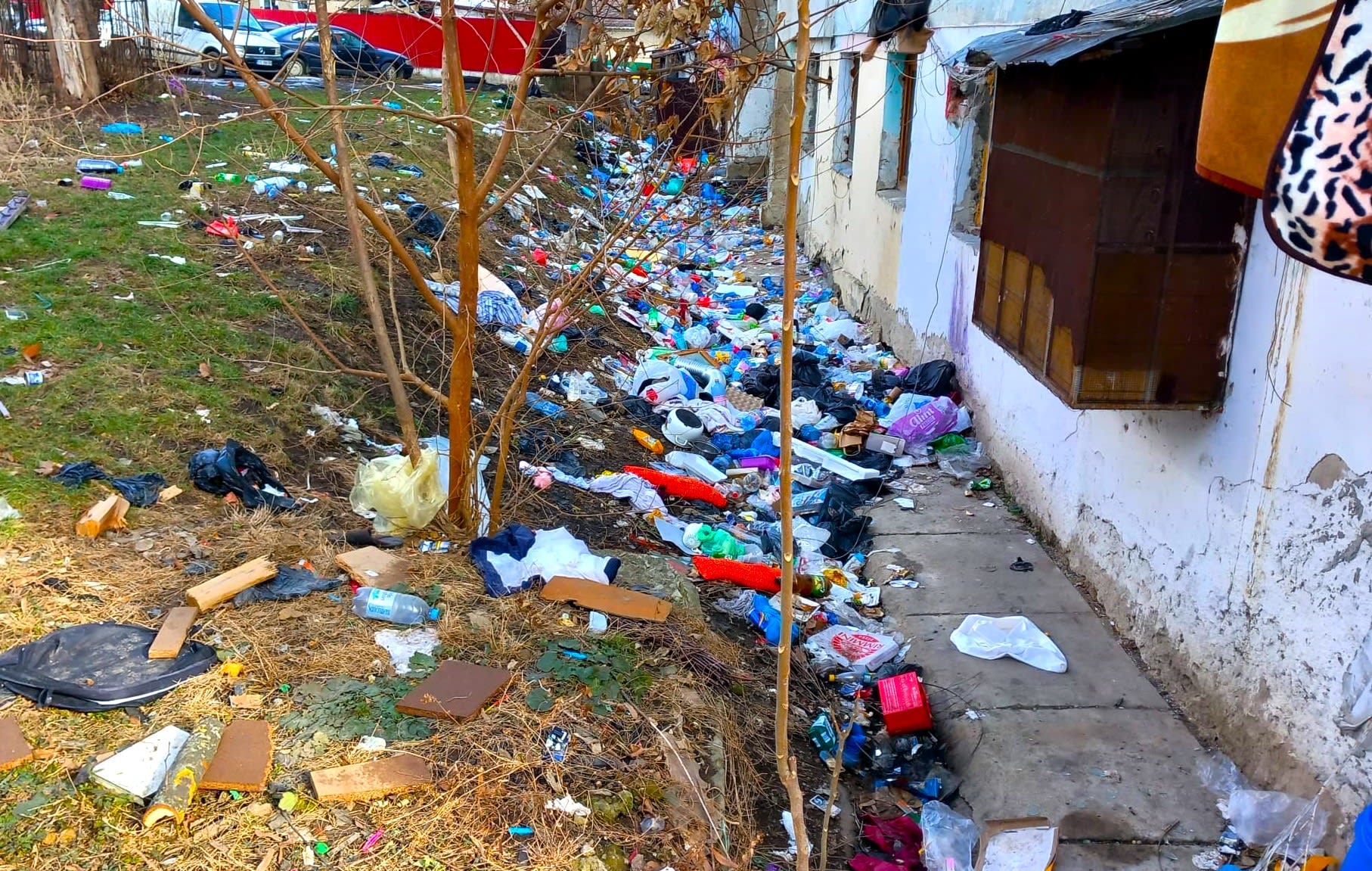 Voluntari participând la acțiuni de ecologizare în județul Vaslui Voluntari participând la acțiuni de ecologizare în județul Vaslui