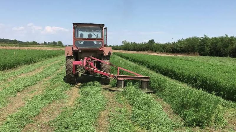 Gorj Expres: În curând se vor înființa noile culturi furajere perene pentru agricultură durabilă