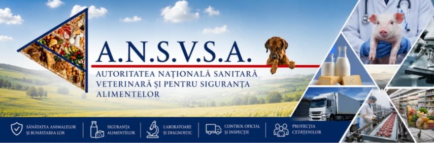 Echipă de medici veterinari controlând o stână cu ovine