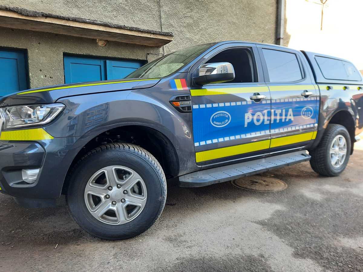 Polițiști și veterinari în control la adăpostul de animale din Dăeni Polițiști și veterinari în control la adăpostul de animale din Dăeni