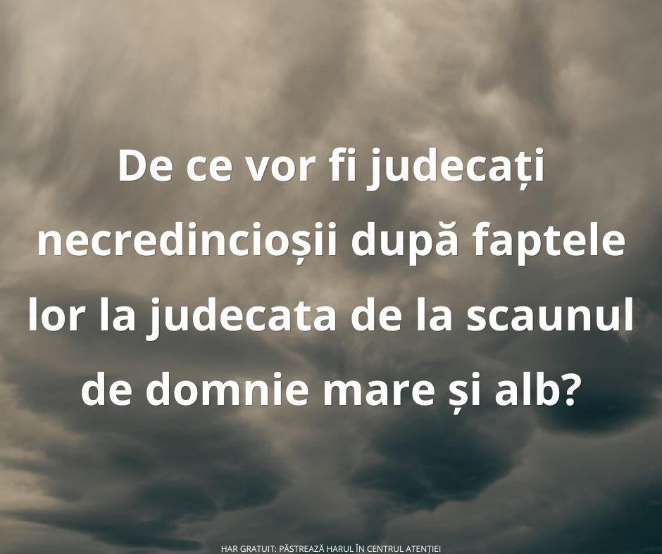 Procurorii din Arad o trimit în judecată pentru schingiuirea și uciderea a 103 câini