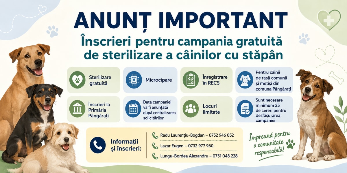 Câini sterilizați campanie Pângărați Câini sterilizați campanie Pângărați