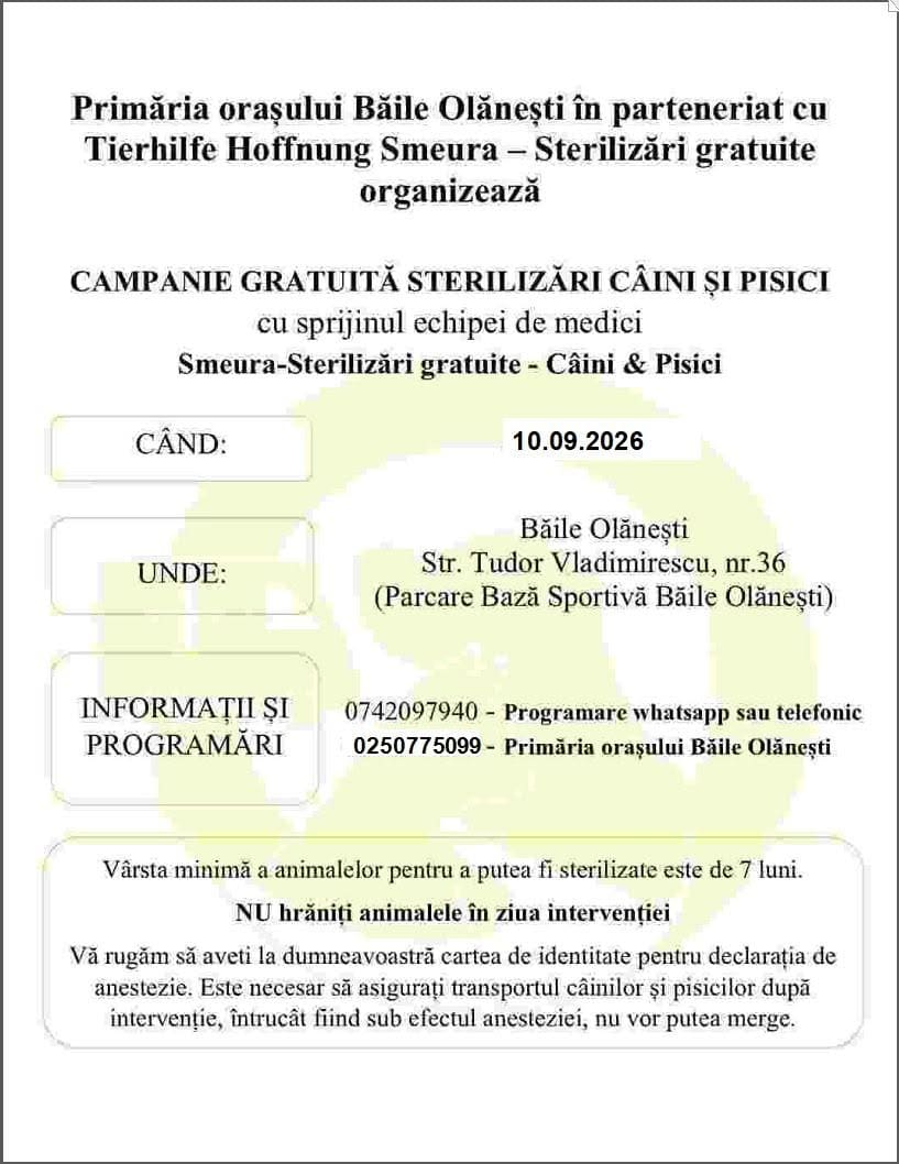 Medici veterinari sterilizând câini și pisici în parcarea Bazei Sportive Medici veterinari sterilizând câini și pisici în parcarea Bazei Sportive