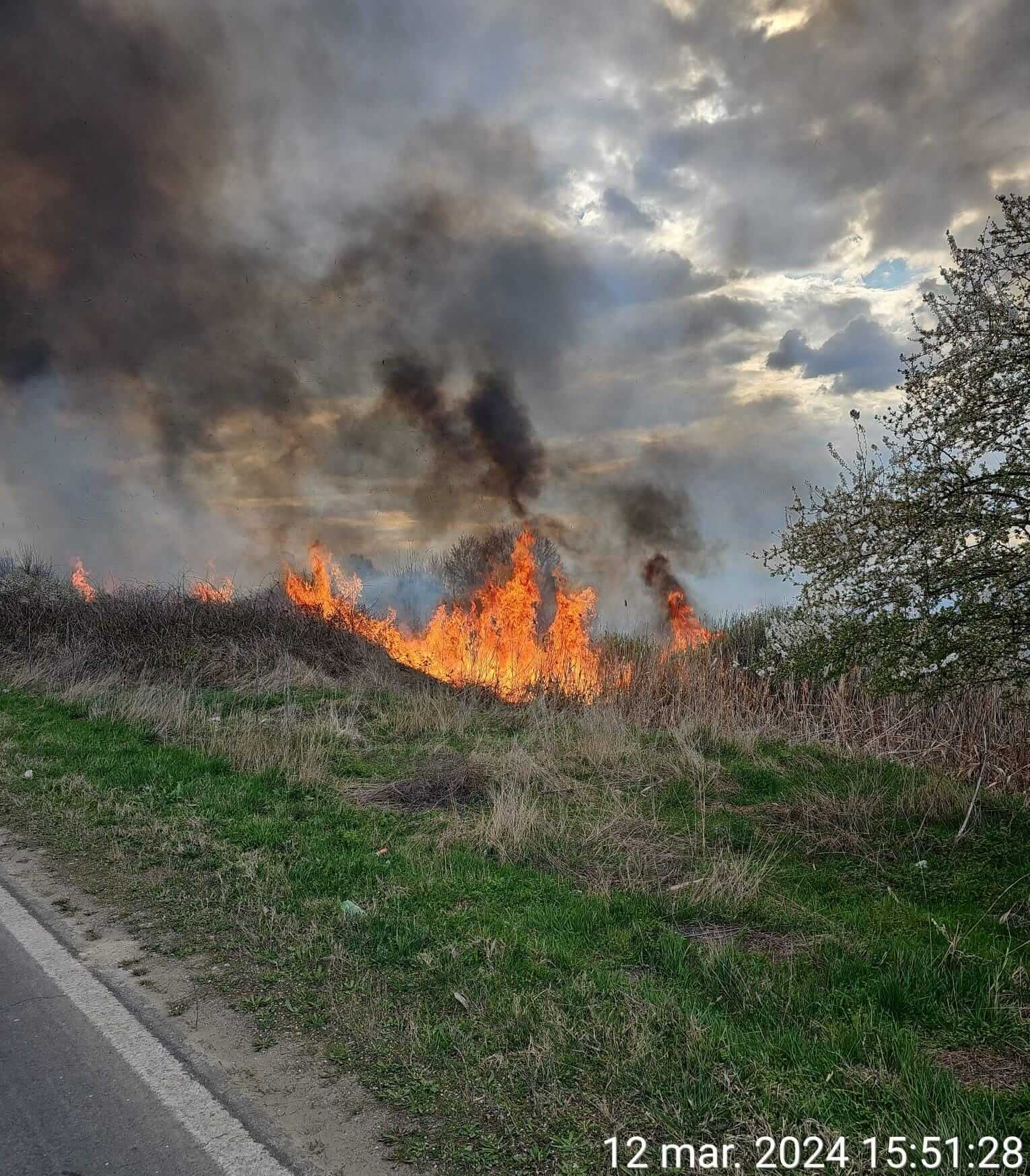 Focare incendii în rezervația Deliblatska Peșcara, Serbia Focare incendii în rezervația Deliblatska Peșcara, Serbia