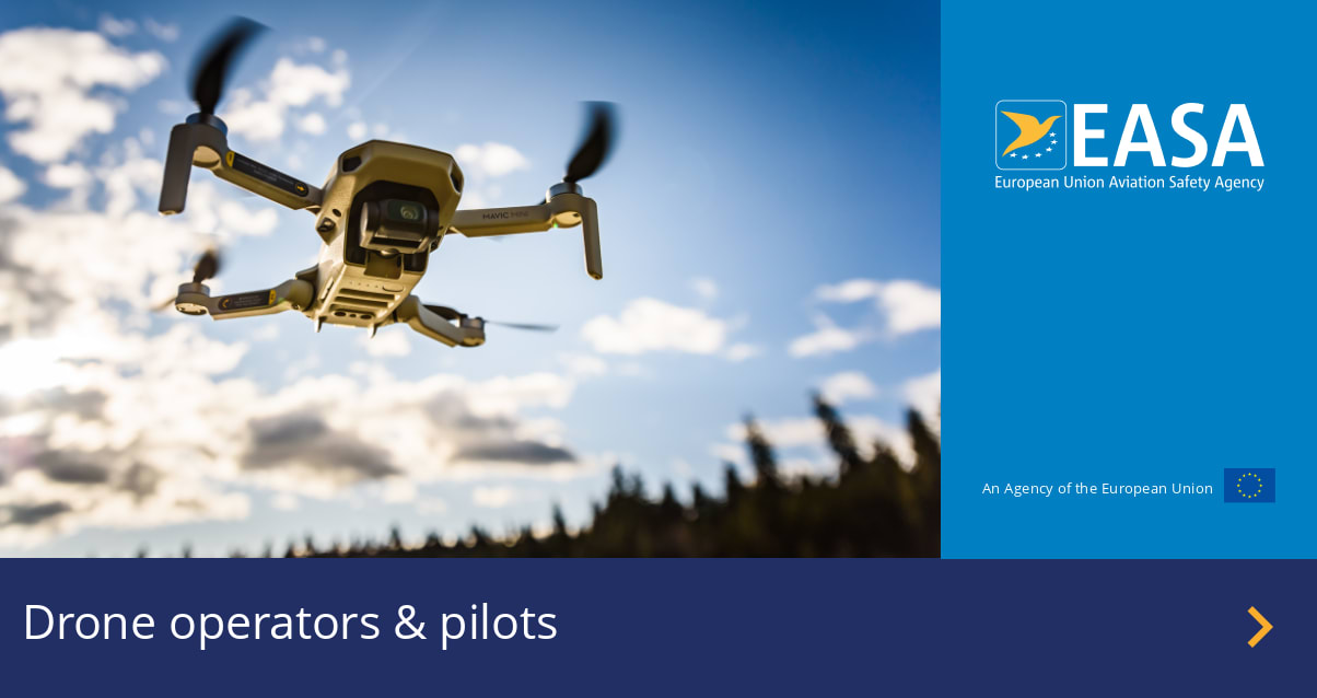 Ministerul Apărării verifică un posibil fragment de dronă la Portul Midia
