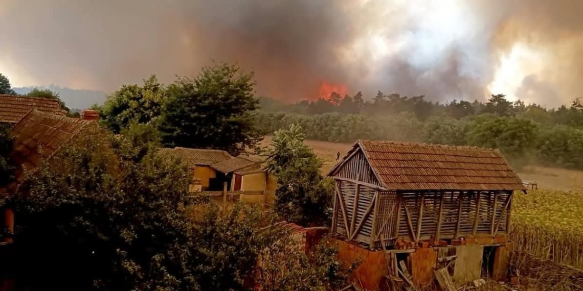 Druckeria organizează o colectă pentru stingerea incendiilor din Serbia