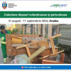 Echipă de salubritate colectând deșeuri voluminoase în Oradea Echipă de salubritate colectând deșeuri voluminoase în Oradea