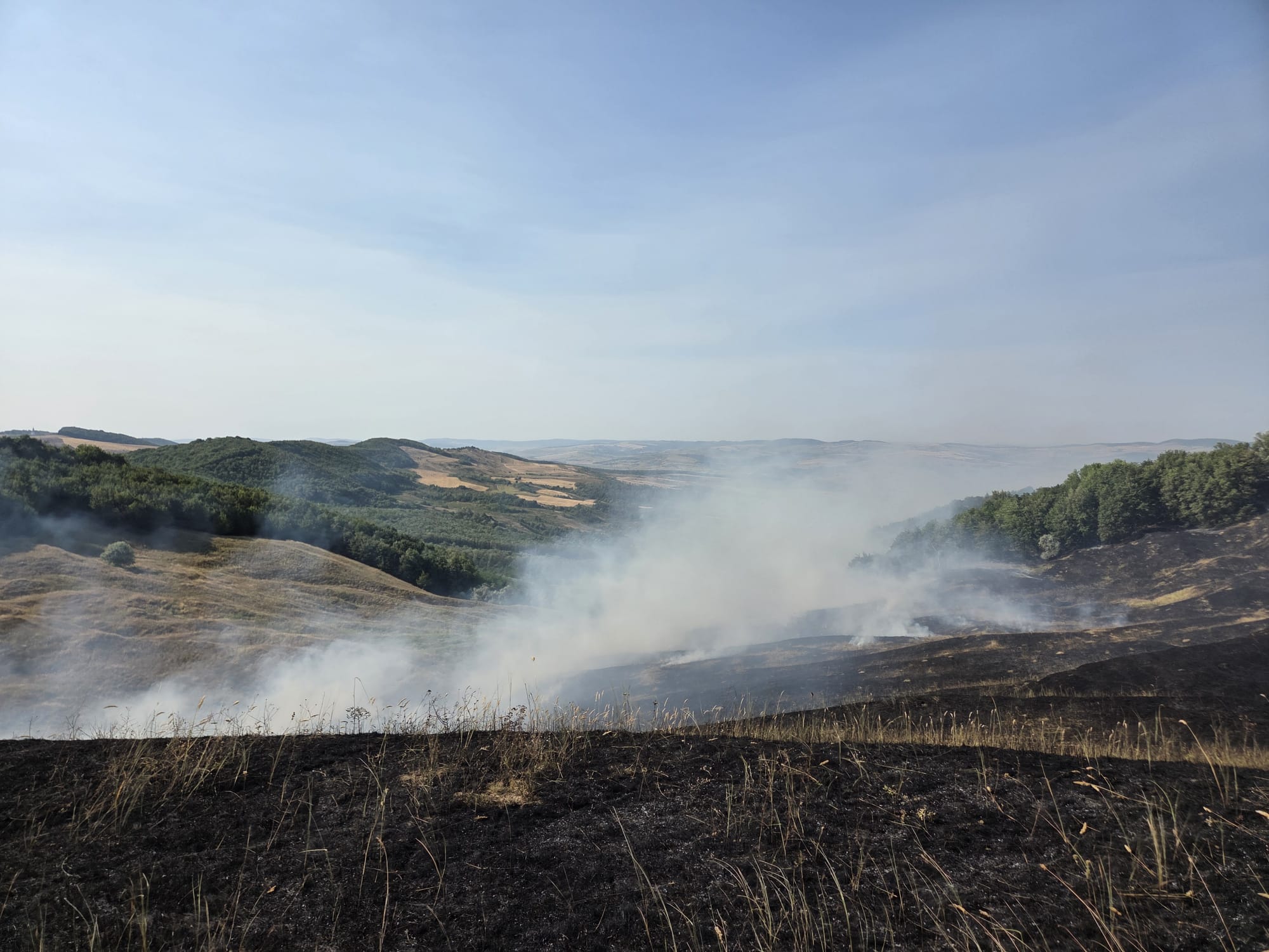 Pompieri vasluieni stingând incendiu de vegetație Pompieri vasluieni stingând incendiu de vegetație