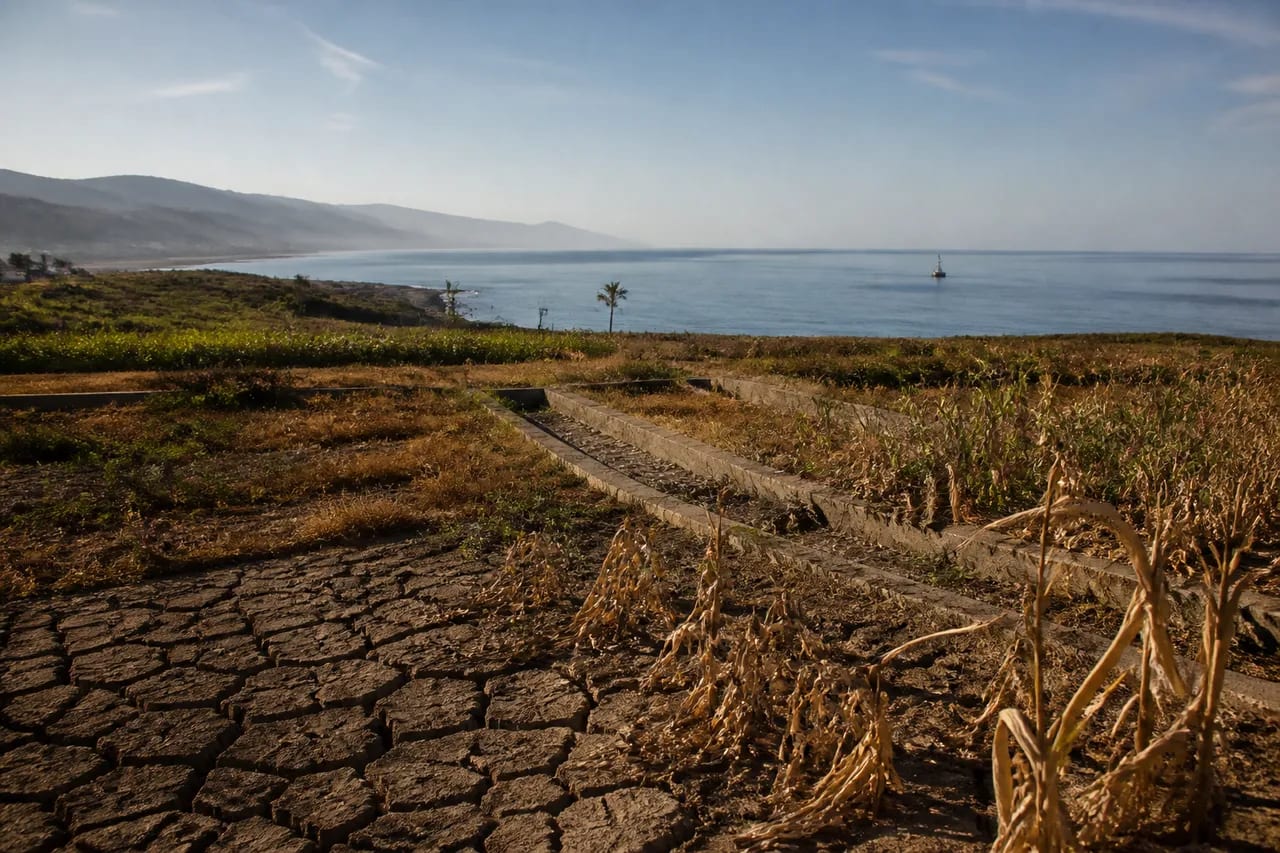 El Niño din 2026 poate fi cel mai puternic din ultimul secol, avertizează meteorologii