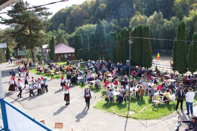 Spectacol ecvestru la Baza Hipică din Piatra Neamț Spectacol ecvestru la Baza Hipică din Piatra Neamț